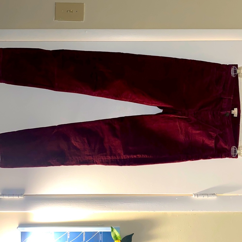 Wine colored velvet pants